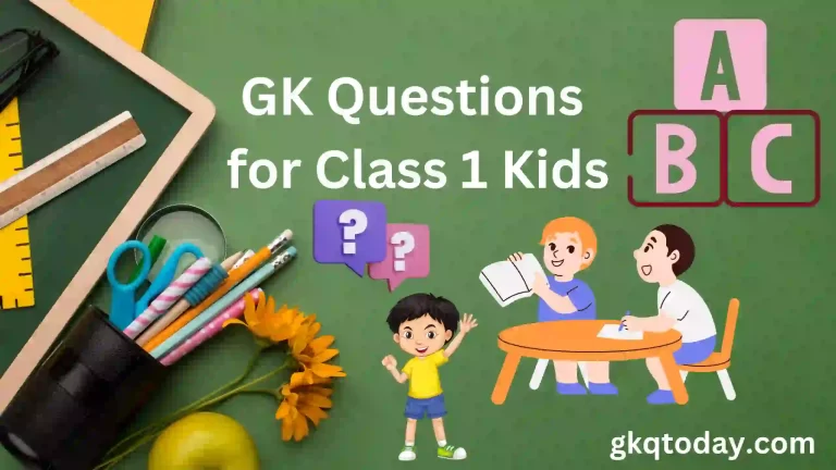 GK Questions for Class 1